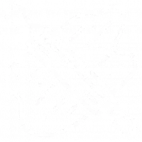 pâte fraîche et faite maison